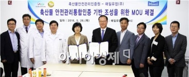 매일유업김포상하목장DS | 매일유업 상하목장,국내 유업체 최초‘안전관리통합인증’획득 추진