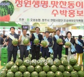 직거래로 싸게 농협유통, 수박 최대 20% 할인 판매