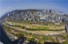 양재천의 화려한 변신...걷기한마당·행복음악회 열어