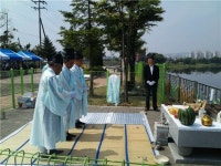 용인 포곡 창포축제 4년만에 열려