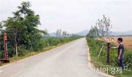 황룡강 제방길 ‘황룡꽃길’로 불러주세요