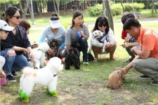[포토]우리 강아지가 달라졌어요~