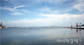 함평군 돌머리해수욕장 청정해수욕장 선정