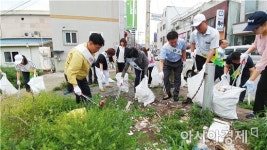 보성군 보성읍, 시가지 쓰레기 수거 및 대청소