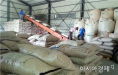 영암군 축산농가에게 청보리종자 공급 위한 종자매입