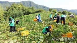 성남시 새마을회, 보성 문덕면 농촌 일손돕기 봉사활동