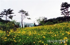 “지리산 숲속수목가옥”에서 힐링하세요~