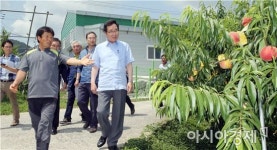 이낙연 전남도지사, 순천 복숭아 재배단지 살펴