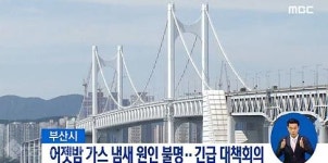 가스,개미떼 자꾸 와 이카노? … 지진괴담 부산이 떤다