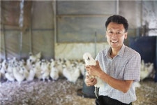 [르포]보양식 숨은 보석 백봉오골계…금산서 심봤다