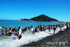 완도에서 건강에 좋은 전복도 잡고, 피서도 즐기고~