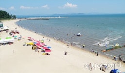 보성군, 율포솔밭해수욕장 쾌적한 휴양지 조성