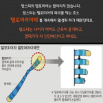 [카드뉴스]진시황도 몰랐던 불로장생 이 친구