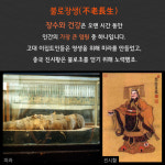 [카드뉴스]진시황도 몰랐던 불로장생 이 친구