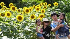 [포토]해바라기도 활짝, 웃음꽃도 활짝