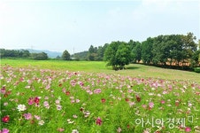 고창군 공음면 학원농장 형형색색 꽃물결 ‘눈길’