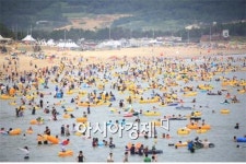 [폭염특수]물놀이 용품 불티·해수욕장 북적