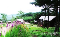 지리산 숲속수목가옥·산수유자연휴양림,숙박예약 쇄도