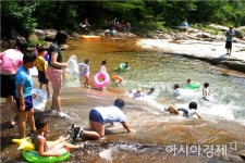 막바지 휴가지 고민 끝~자연속의 가족마을“곡성” 계곡으로 오세요
