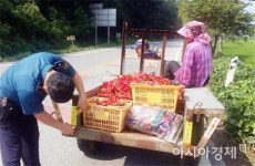함평 나산파출소, 교통사망사고 예방 홍보 활동