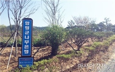 함평군 나무은행 1석2조’효과~1억여원 예산 절감