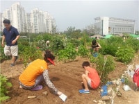 성동구 도시농부학교 오픈