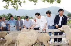 이낙연 전남지사, 휴일에도 현장 행정 이어가