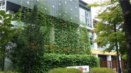 노원구 학교·동 주민센터 등 녹색커튼 실내온도 낮춰
