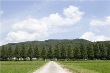 [때때로 여행가의 밥] 담양 슬로시티와 약초밥상