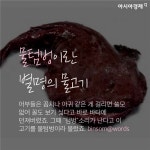 [낱말의습격]물텀벙이란 별명의 물고기