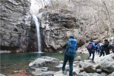 숲은 ‘느림의 풍요로움’
