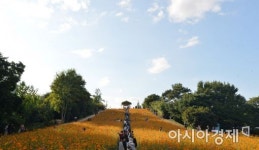 [오늘 날씨] 완연한 가을 날씨…일교차 10도 내외로 커져