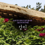 GS샵, 전남 강진ㆍ장흥 여행 상품 편성