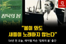 [카드뉴스]봄이 와도 새들이 노래하지 않는다 DDT묵시록