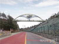 완도군, 서망산 단절 등산로에 보행교 설치