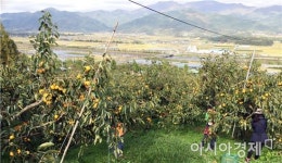 구례군, 가을철 농촌 일손돕기 대대적 전개