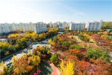 오색빛 단풍 목동 거리 수놓다
