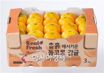 롯데슈퍼, 돌코롬 감귤 9900원에 판매