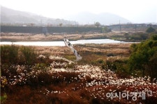 곡성‘섬진강 침실습지’국가습지 지정 환호