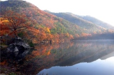 [여행만리]주산지, 봄·여름·가을…그리고~