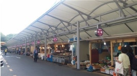 강동구 고덕전통시장 야시장 운영