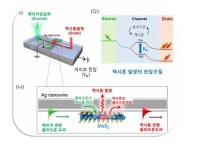 [과학을 읽다]빛의 속도로 정보 전달한다