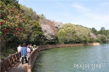 완도수목원, 난대숲길 힐링로드 명품화 첫 발