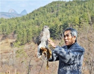 진안군, 매사냥 체험홍보관 준공식 및 시연행사 개최