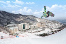 9년 연속 입장객 1위…비발디는 다르다