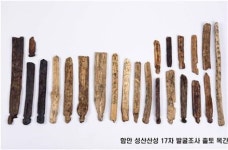6세기 신라 율령 담긴 함안 성산산성 목간 출토