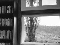 [조문환의 평사리日記]미루나무 카페