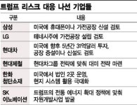 [트럼프리스크 대응나선 기업들] 전·차, 공장 신증설…철·화, 고용 확대 방점