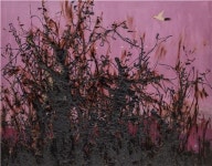 ‘날아라 닭’ 성태훈 플라이展