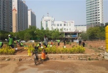 영등포구, 문래동 가족텃밭 분양